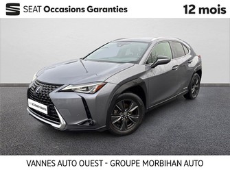 Photo Lexus UX H 4WD Luxe