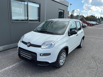Photo Fiat Panda III 1.0 70 ch Hybride BSG S/S City 5p