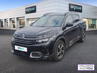 Photo Citroen C5 Aircross BlueHDi 130 S&S EAT8 Business