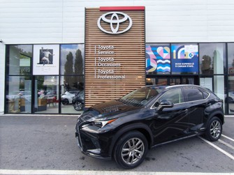 Photo Lexus NX h 4WD Luxe MY20