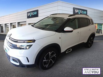 Photo Citroen C5 Aircross BlueHDi 130 S&S EAT8 C-Series