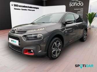 Photo Citroen C4 Cactus BlueHDi 100ch S&S C-Series E6.d