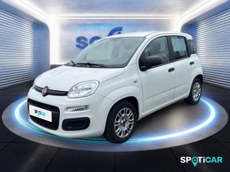 Photo Fiat Panda 1.0 70ch BSG S&S City