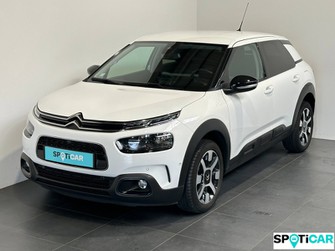 Photo Citroen C4 Cactus PureTech 110ch S&S Shine Business E6.d 6cv