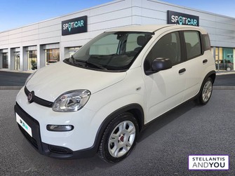 Photo Fiat Panda 1.0 70 ch Hybride BSG S/S