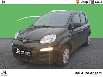 Photo Fiat Panda 1.2 8v 69ch S&S Easy 1ère Main/Extension GTIE Fiat ->04/2031