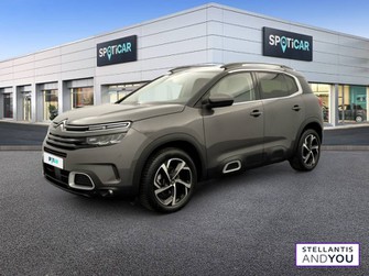 Photo Citroen C5 Aircross BlueHDi 130 S&S EAT8 Shine