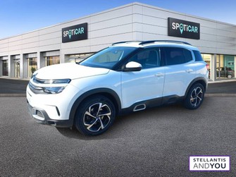Photo Citroen C5 Aircross BlueHDi 130 S&S EAT8 Shine