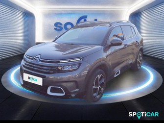 Photo Citroen C5 Aircross BlueHDi 130ch S&S Shine EAT8 E6.d