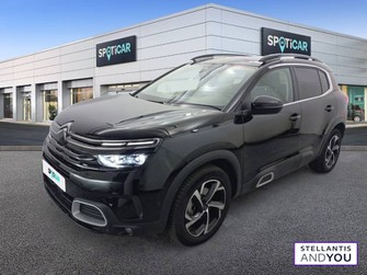 Photo Citroen C5 Aircross BlueHDi 130 S&S EAT8 Shine