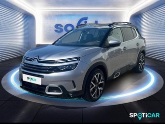 Photo Citroen C5 Aircross BlueHDi 130ch S&S Shine EAT8 E6.d