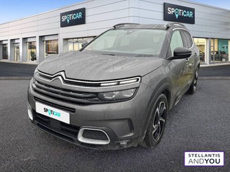 Photo Citroen C5 Aircross BlueHDi 130 S&S EAT8 Shine