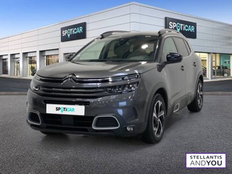 Photo Citroen C5 Aircross BlueHDi 130 S&S EAT8 C-Series