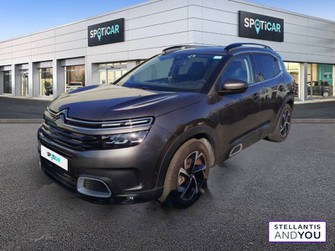 Photo Citroen C5 Aircross BlueHDi 130 S&S EAT8 Shine