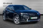 2024 Lexus UX