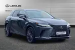 2024 Lexus RX