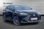 2025 Lexus NX