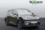 2025 BYD Dolphin Surf