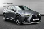 2024 Lexus NX