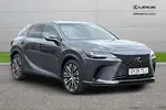 2025 Lexus RX