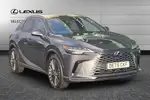 2025 Lexus RX