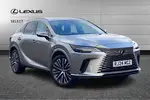 2024 Lexus RX