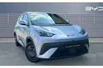 BYD Dolphin Surf