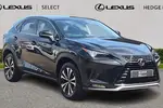 2021 Lexus NX