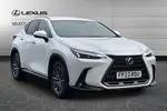 2023 Lexus NX