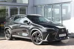 2025 Lexus NX