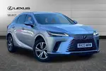 2023 Lexus RX