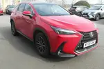 2025 Lexus NX