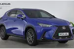 2024 Lexus NX