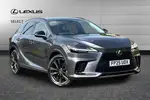 2025 Lexus RX