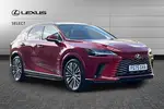 2025 Lexus RX