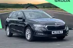 2023 Skoda Octavia