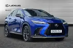 2025 Lexus NX