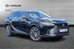 2025 Lexus RX