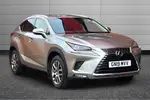 2019 Lexus NX