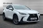 2022 Lexus NX