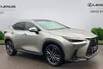 2022 Lexus NX
