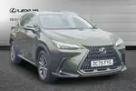 2025 Lexus NX