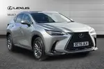 2025 Lexus NX