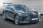 2024 Lexus RX