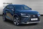 2021 Lexus NX