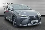 2025 Lexus NX
