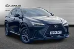 2024 Lexus NX