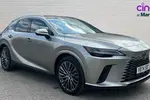 2024 Lexus RX