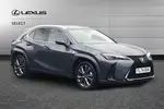 2024 Lexus UX