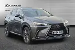2024 Lexus NX